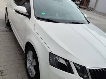 Белый Шкода Октавия, объемом двигателя 1.6 л и пробегом 224 тыс. км за 12600 $, фото 1 на Automoto.ua