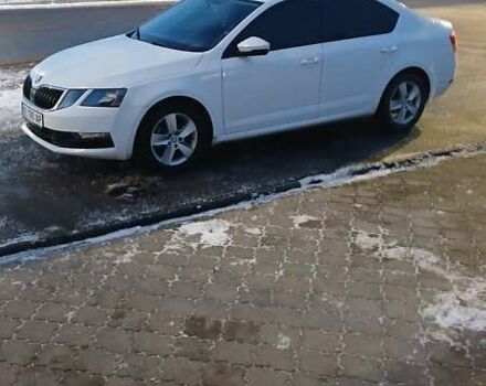Белый Шкода Октавия, объемом двигателя 1.6 л и пробегом 235 тыс. км за 13000 $, фото 1 на Automoto.ua