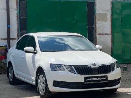 Шкода Октавія 2019 у Сумах на Automoto.ua Білий Шкода Октавія, об'ємом двигуна 1.6 л та пробігом 148 тис. км за 13500 $, фото 1 на Automoto.ua
