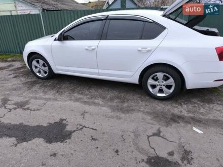 Білий Шкода Октавія, об'ємом двигуна 1.6 л та пробігом 76 тис. км за 16000 $, фото 1 на Automoto.ua