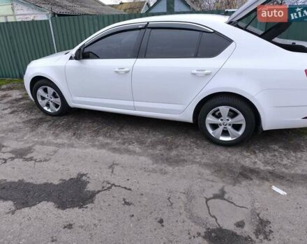 Белый Шкода Октавия, объемом двигателя 1.6 л и пробегом 76 тыс. км за 16000 $, фото 1 на Automoto.ua