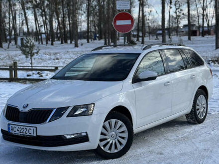 Шкода Октавия 2019 в Ратно на Automoto.ua Белый Шкода Октавия, объемом двигателя 1.6 л и пробегом 270 тыс. км за 11300 $, фото 1 на Automoto.ua
