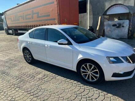 Шкода Октавия 2019 в Ковель на Automoto.ua Белый Шкода Октавия, объемом двигателя 1.6 л и пробегом 203 тыс. км за 17050 $, фото 1 на Automoto.ua