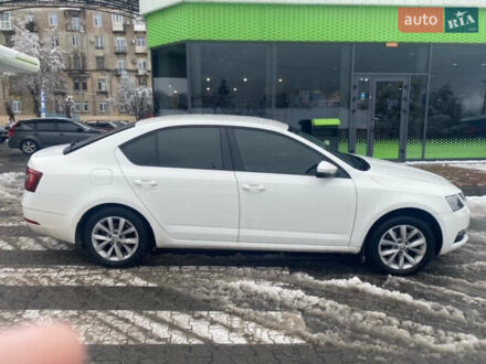Шкода Октавия 2019 в Днепре (Днепропетровске) на Automoto.ua Белый Шкода Октавия, объемом двигателя 2 л и пробегом 200 тыс. км за 16200 $, фото 1 на Automoto.ua