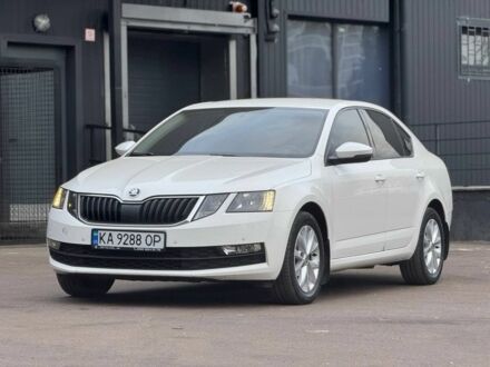 Шкода Октавия 2019 в Киеве на Automoto.ua Белый Шкода Октавия, объемом двигателя 1.6 л и пробегом 147 тыс. км за 11999 $, фото 1 на Automoto.ua
