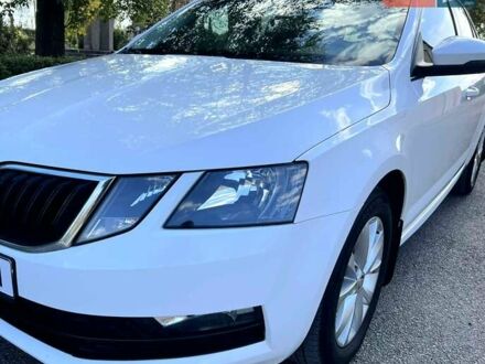 Белый Шкода Октавия, объемом двигателя 1.4 л и пробегом 207 тыс. км за 13700 $, фото 1 на Automoto.ua