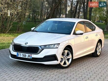 Шкода Октавія 2020 у Надворной на Automoto.ua Білий Шкода Октавія, об'ємом двигуна 1.97 л та пробігом 207 тис. км за 16800 $, фото 1 на Automoto.ua
