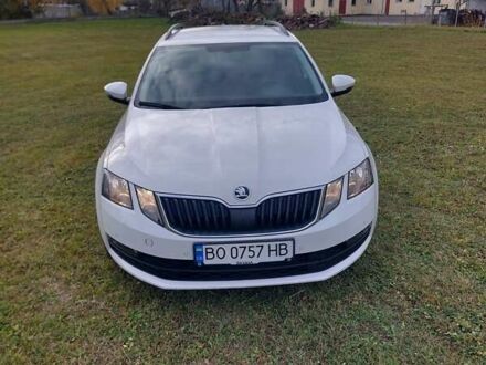 Шкода Октавия 2020 в Тернополе на Automoto.ua Белый Шкода Октавия, объемом двигателя 1.97 л и пробегом 187 тыс. км за 15200 $, фото 1 на Automoto.ua