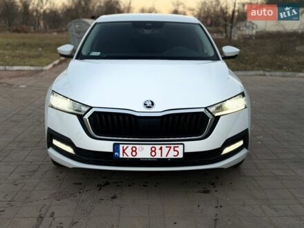 Білий Шкода Октавія, об'ємом двигуна 2 л та пробігом 292 тис. км за 17900 $, фото 1 на Automoto.ua