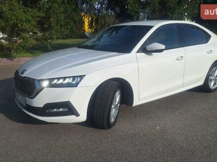 Шкода Октавия 2021 в Белой Церкве на Automoto.ua Белый Шкода Октавия, объемом двигателя 1.4 л и пробегом 167 тыс. км за 17700 $, фото 1 на Automoto.ua