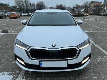 Шкода Октавия 2021 в Житомире на Automoto.ua Белый Шкода Октавия, объемом двигателя 1.6 л и пробегом 30 тыс. км за 23000 $, фото 1 на Automoto.ua