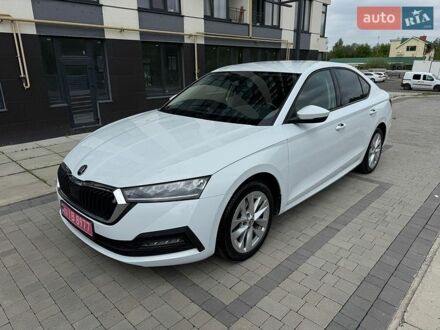Білий Шкода Октавія, об'ємом двигуна 2 л та пробігом 250 тис. км за 16950 $, фото 1 на Automoto.ua