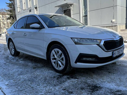 Шкода Октавия 2023 в Полтаве на Automoto.ua Белый Шкода Октавия, объемом двигателя 1.4 л и пробегом 11 тыс. км за 25900 $, фото 1 на Automoto.ua