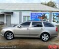Шкода Октавия 2010 в Вознесенске на Automoto.ua Бежевый Шкода Октавия, объемом двигателя 1.9 л и пробегом 237 тыс. км за 7300 $, фото 4 на Automoto.ua