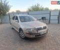 Шкода Октавія 2004 у Дніпро (Дніпропетровську) на Automoto.ua Бежевий Шкода Октавія, об'ємом двигуна 1.6 л та пробігом 250 тис. км за 5900 $, фото 1 на Automoto.ua