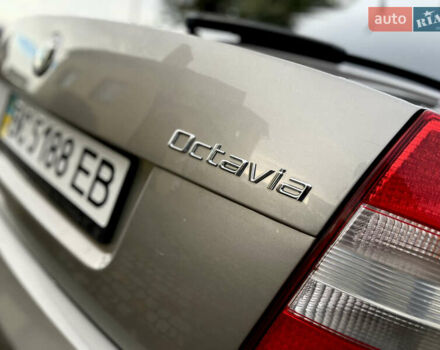 Бежевий Шкода Октавія, об'ємом двигуна 1.6 л та пробігом 226 тис. км за 8100 $, фото 18 на Automoto.ua