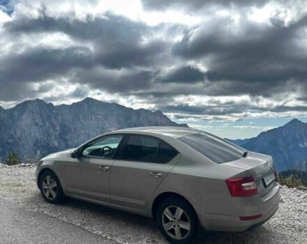 Бежевый Шкода Октавия, объемом двигателя 1.4 л и пробегом 213 тыс. км за 9000 $, фото 1 на Automoto.ua