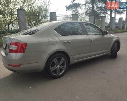 Бежевый Шкода Октавия, объемом двигателя 1.6 л и пробегом 262 тыс. км за 11500 $, фото 7 на Automoto.ua