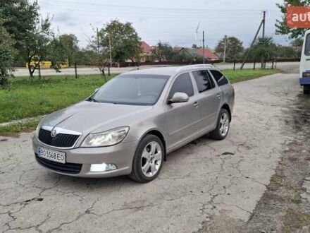 Шкода Октавия 2010 в Кременце на Automoto.ua Бежевый Шкода Октавия, объемом двигателя 1.6 л и пробегом 320 тыс. км за 8500 $, фото 1 на Automoto.ua