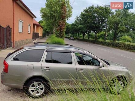 Шкода Октавия 2012 в Мукачеве на Automoto.ua Бежевый Шкода Октавия, объемом двигателя 1.6 л и пробегом 241 тыс. км за 9000 $, фото 1 на Automoto.ua