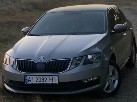 Шкода Октавия 2017 в Вознесенске на Automoto.ua Бежевый Шкода Октавия, объемом двигателя 1.6 л и пробегом 106 тыс. км за 17000 $, фото 1 на Automoto.ua