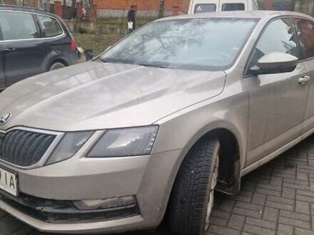 Бежевый Шкода Октавия, объемом двигателя 1.4 л и пробегом 146 тыс. км за 13400 $, фото 1 на Automoto.ua