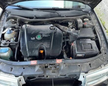 Шкода Октавія 2004 у Белой Церкве на Automoto.ua Чорний Шкода Октавія, об'ємом двигуна 1.6 л та пробігом 230 тис. км за 4800 $, фото 4 на Automoto.ua