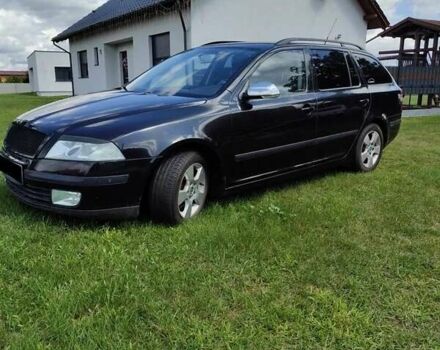 Шкода Октавия 2006 в Сумах на Automoto.ua Черный Шкода Октавия, объемом двигателя 2 л и пробегом 234 тыс. км за 8100 $, фото 1 на Automoto.ua