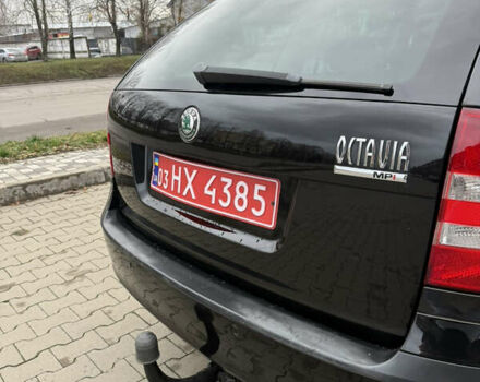 Черный Шкода Октавия, объемом двигателя 1.6 л и пробегом 197 тыс. км за 7500 $, фото 26 на Automoto.ua