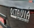 Шкода Октавия 2009 в Полтаве на Automoto.ua Черный Шкода Октавия, объемом двигателя 1.6 л и пробегом 219 тыс. км за 6700 $, фото 66 на Automoto.ua