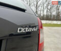 Черный Шкода Октавия, объемом двигателя 2 л и пробегом 229 тыс. км за 11650 $, фото 41 на Automoto.ua