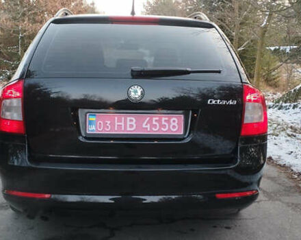 Черный Шкода Октавия, объемом двигателя 1.4 л и пробегом 231 тыс. км за 6999 $, фото 6 на Automoto.ua