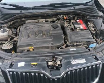 Черный Шкода Октавия, объемом двигателя 1.6 л и пробегом 289 тыс. км за 9650 $, фото 44 на Automoto.ua