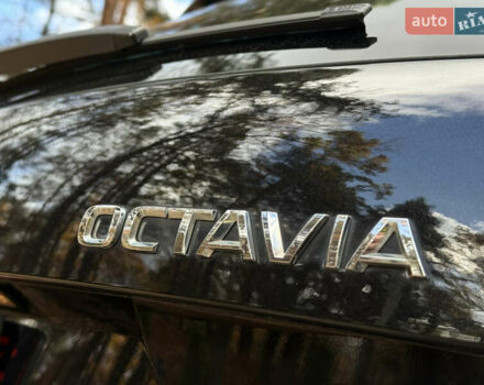 Шкода Октавія 2015 у Дрогобичі на Automoto.ua Чорний Шкода Октавія, об'ємом двигуна 2 л та пробігом 220 тис. км за 14699 $, фото 58 на Automoto.ua