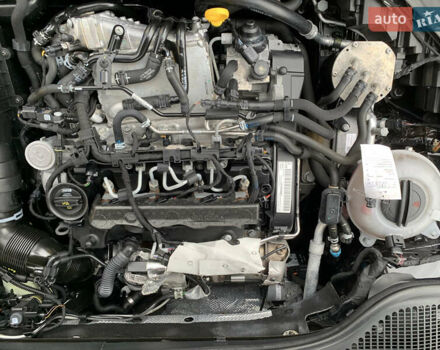 Черный Шкода Октавия, объемом двигателя 0 л и пробегом 134 тыс. км за 17500 $, фото 39 на Automoto.ua