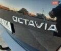 Чорний Шкода Октавія, об'ємом двигуна 1.6 л та пробігом 192 тис. км за 17800 $, фото 106 на Automoto.ua