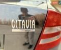 Черный Шкода Октавия, объемом двигателя 1.6 л и пробегом 220 тыс. км за 7500 $, фото 17 на Automoto.ua