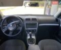 Шкода Октавия 2009 в Николаеве на Automoto.ua Черный Шкода Октавия, объемом двигателя 1.6 л и пробегом 173 тыс. км за 8400 $, фото 14 на Automoto.ua