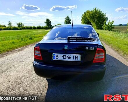 Шкода Октавия 2010 в Полтаве на Automoto.ua Черный Шкода Октавия, объемом двигателя 1.6 л и пробегом 250 тыс. км за 4500 $, фото 4 на Automoto.ua