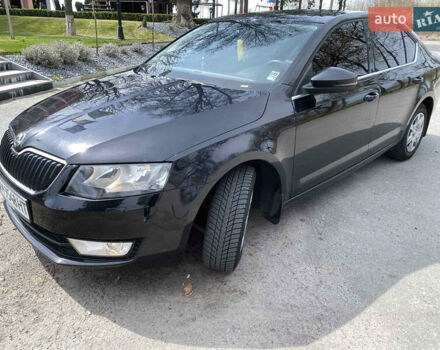 Шкода Октавия 2014 в Житомире на Automoto.ua Черный Шкода Октавия, объемом двигателя 1.6 л и пробегом 237 тыс. км за 11000 $, фото 7 на Automoto.ua