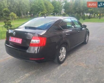 Шкода Октавия 2018 в Хмельницком на Automoto.ua Черный Шкода Октавия, объемом двигателя 1.6 л и пробегом 210 тыс. км за 12999 $, фото 1 на Automoto.ua