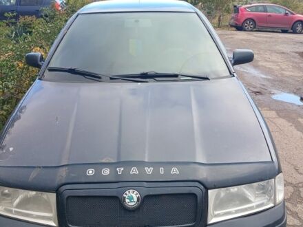 Шкода Октавія 2004 у Кривому Розі на Automoto.ua Чорний Шкода Октавія, об'ємом двигуна 1.8 л та пробігом 305 тис. км за 5512 $, фото 1 на Automoto.ua