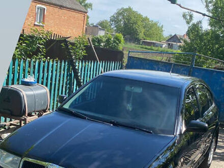 Шкода Октавия 2005 в Казатине на Automoto.ua Черный Шкода Октавия, объемом двигателя 1.9 л и пробегом 276 тыс. км за 6100 $, фото 1 на Automoto.ua