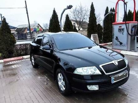 Шкода Октавия 2006 в Виннице на Automoto.ua Черный Шкода Октавия, объемом двигателя 1.6 л и пробегом 256 тыс. км за 4800 $, фото 1 на Automoto.ua