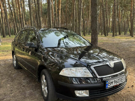 Шкода Октавия 2007 в Сумах на Automoto.ua Черный Шкода Октавия, объемом двигателя 1.6 л и пробегом 244 тыс. км за 6400 $, фото 1 на Automoto.ua