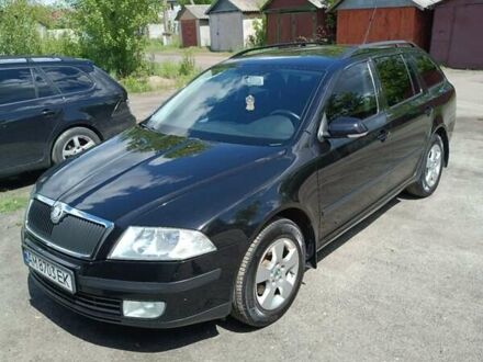 Шкода Октавия 2008 в Малине на Automoto.ua Черный Шкода Октавия, объемом двигателя 1.6 л и пробегом 232 тыс. км за 6200 $, фото 1 на Automoto.ua