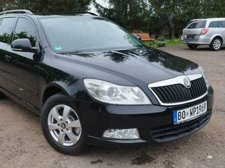 Шкода Октавія 2009 у Бердичеве на Automoto.ua Чорний Шкода Октавія, об'ємом двигуна 1.6 л та пробігом 209 тис. км за 8299 $, фото 1 на Automoto.ua