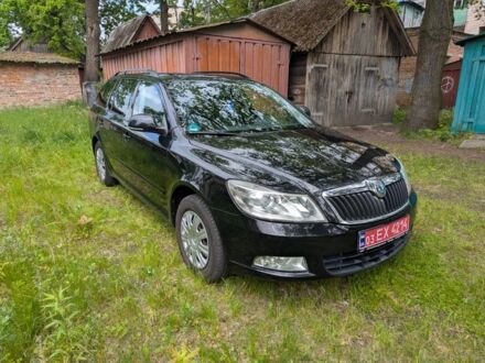 Шкода Октавия 2010 в Киверцы на Automoto.ua Черный Шкода Октавия, объемом двигателя 1.4 л и пробегом 195 тыс. км за 6700 $, фото 1 на Automoto.ua