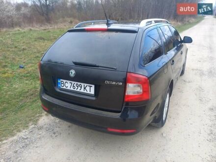 Шкода Октавия 2010 в Стрые на Automoto.ua Черный Шкода Октавия, объемом двигателя 1.39 л и пробегом 210 тыс. км за 7200 $, фото 1 на Automoto.ua
