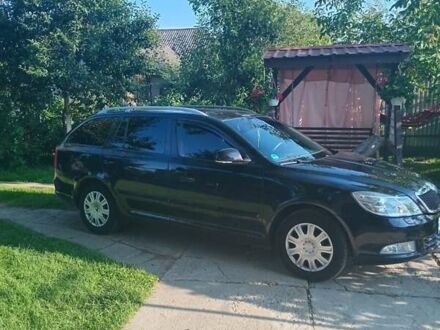 Шкода Октавия 2010 в Жидачов на Automoto.ua Черный Шкода Октавия, объемом двигателя 1.2 л и пробегом 215 тыс. км за 6300 $, фото 1 на Automoto.ua